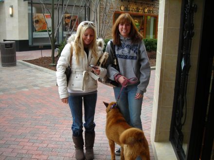 Animal lovers unite - Carey with Dana DeMeester walking around the Dog/pet friendly park.  Dog Lovers came out to support The Macomb County Animal Shelter!