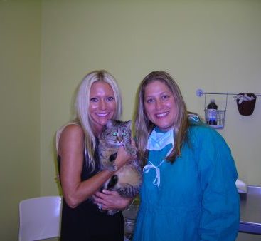 All About Animals - Carey takes her cat Madelin Monroe to see Dr. Schultz for a check up at All About Animals in Warren.