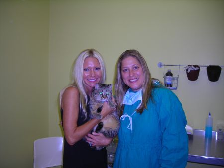 All About Animals - Carey takes her cat Madelin Monroe to see Dr. Schultz for a check up at All About Animals in Warren.